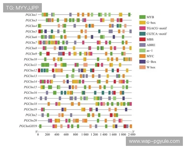 PG电子网址大全用户反馈汇总，分析平台服务质量提升对玩家满意度的积极影响