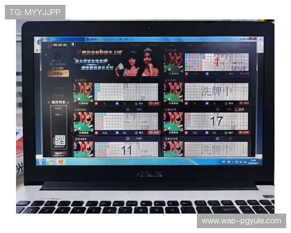 百家乐路子图的详细使用方法与案例分析,提升你的游戏策略水平 百家乐路子图的详细使用方法与案例分析,提升你的游戏策略水平